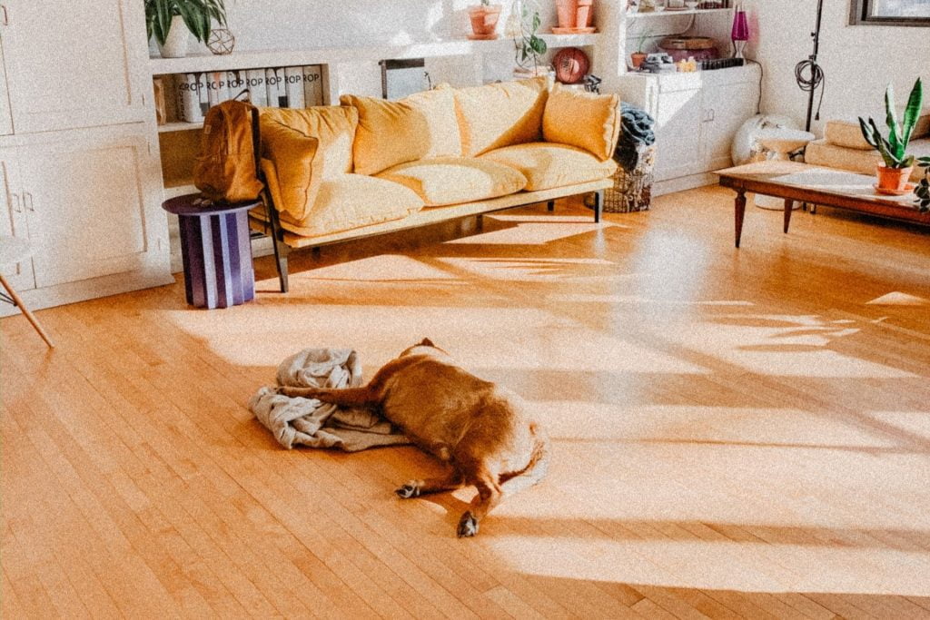 laminate floor