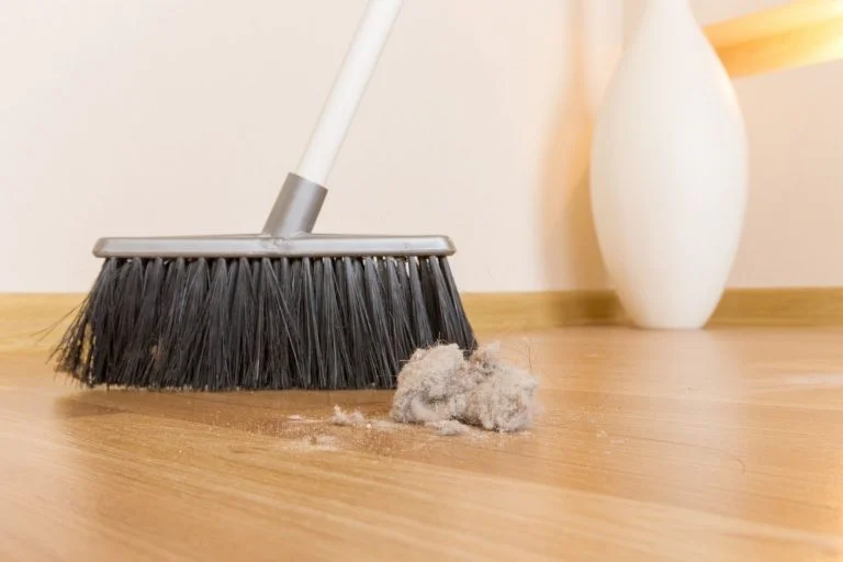 Why Is My House Dusty? Here are 5 Causes And Best Fixes
