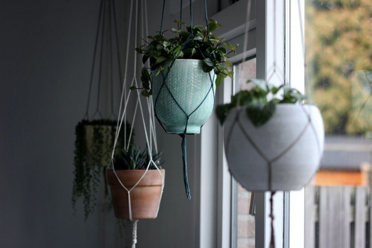 Hanging Planters Indoor – A modern and Cost effective decor to upgrade your interior