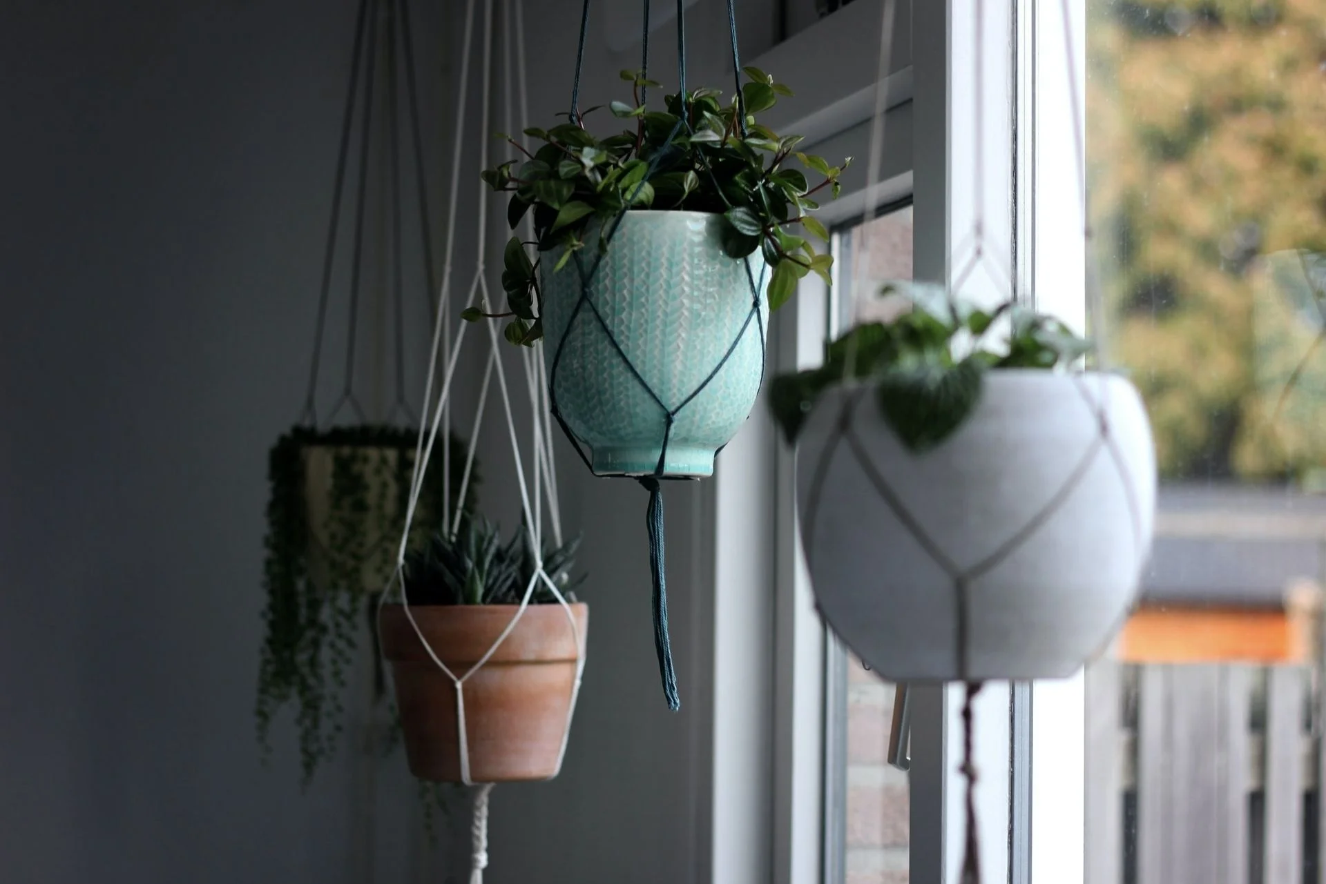Indoor Hanging Planters