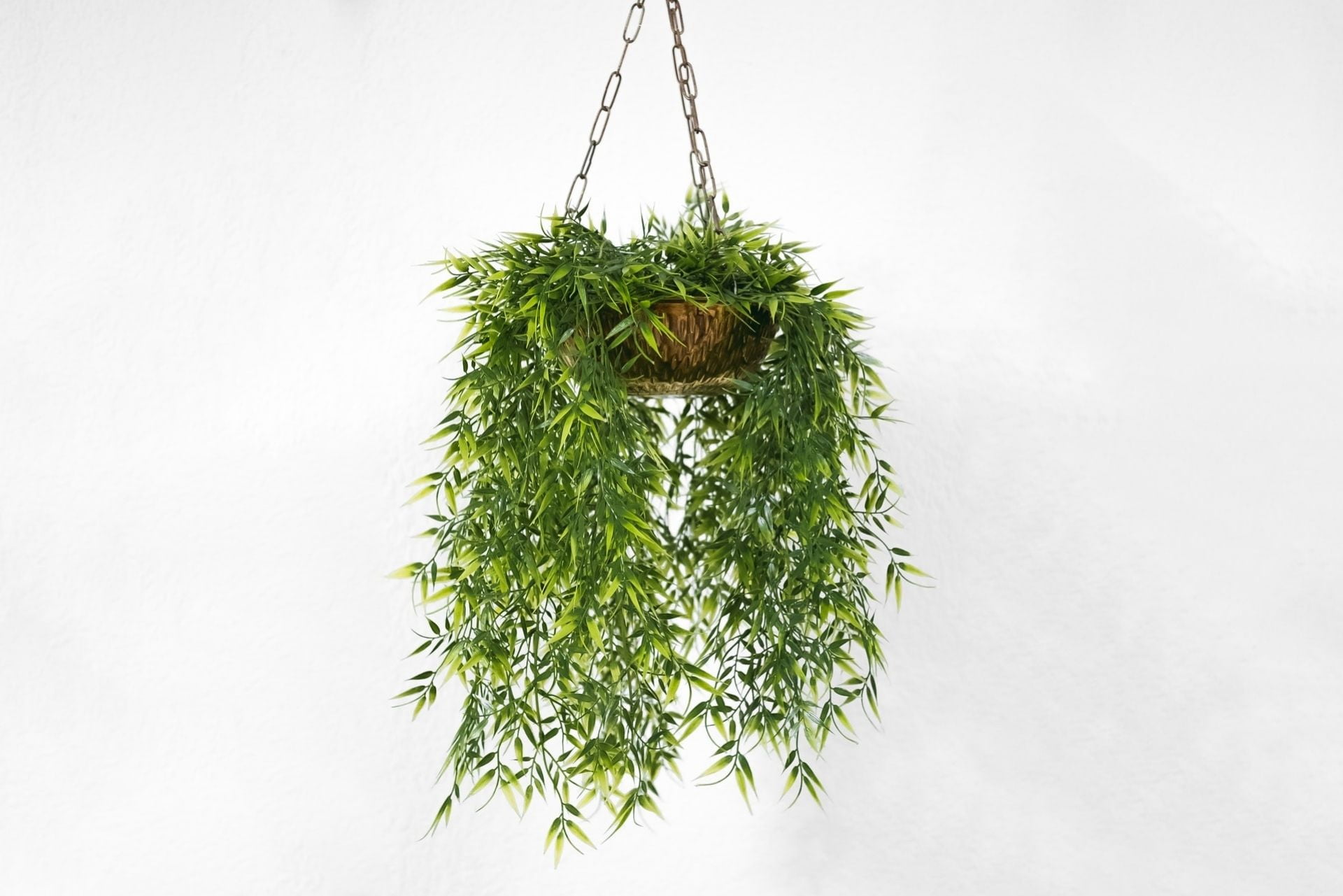 DIY hanging planter
