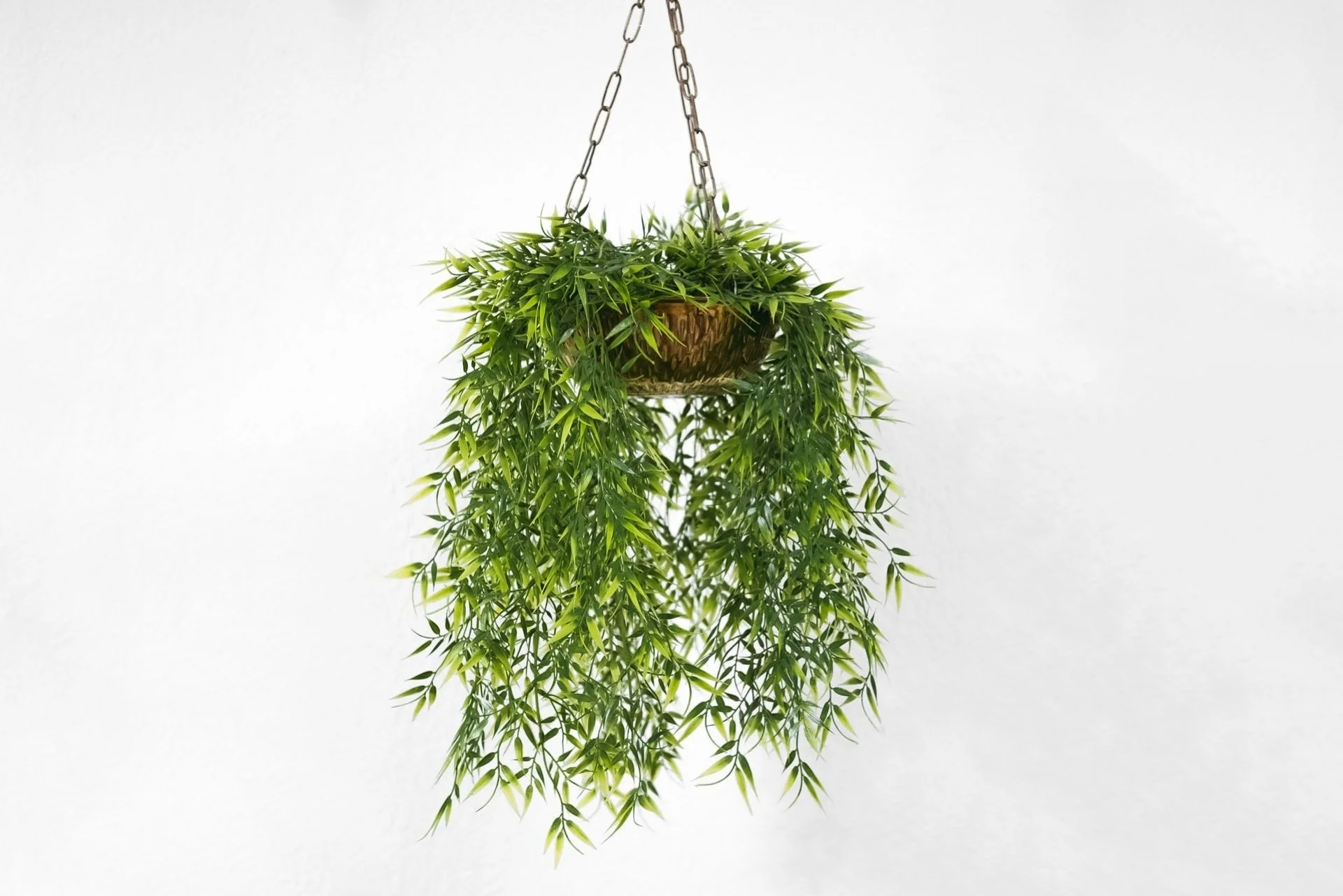 DIY hanging planter