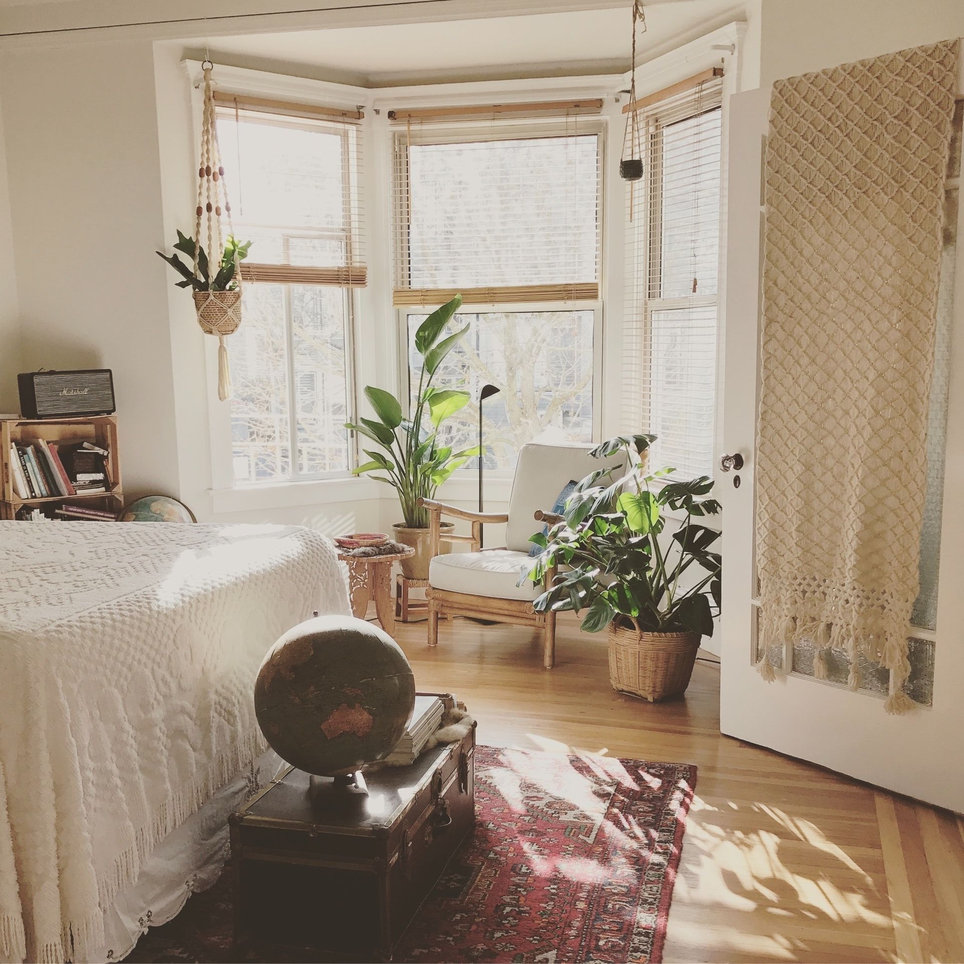 tall potted plants in front of your window